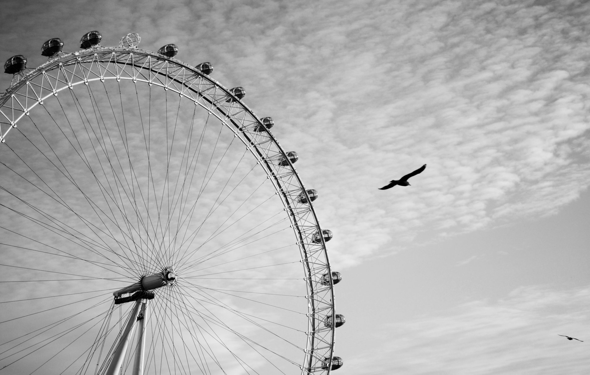 londra ruota panoramica london eye london eye uccelli volare cielo nuvole