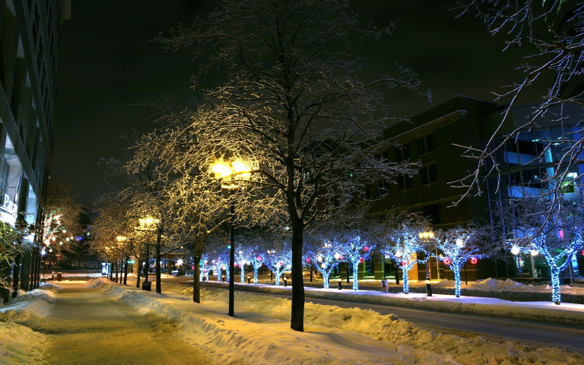 stadt winter lichter lichter schnee bäume