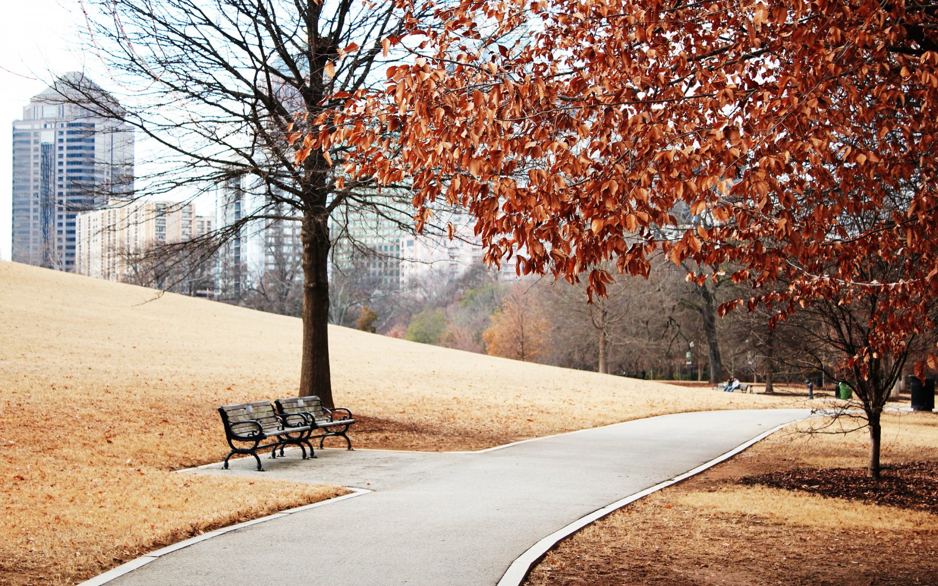 ville paysage parc passerelle automne feuillage arbres bancs pelouse herbe pente bâtiments vue