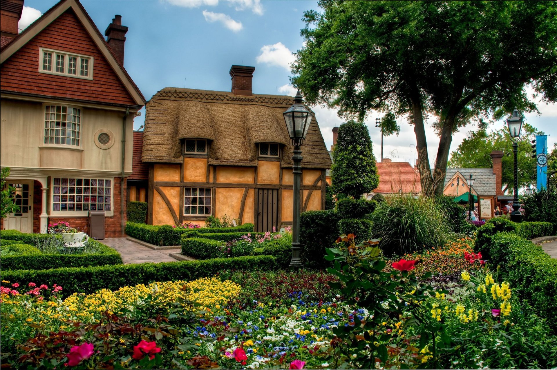 ville maisons fleurs parterre de fleurs arbres