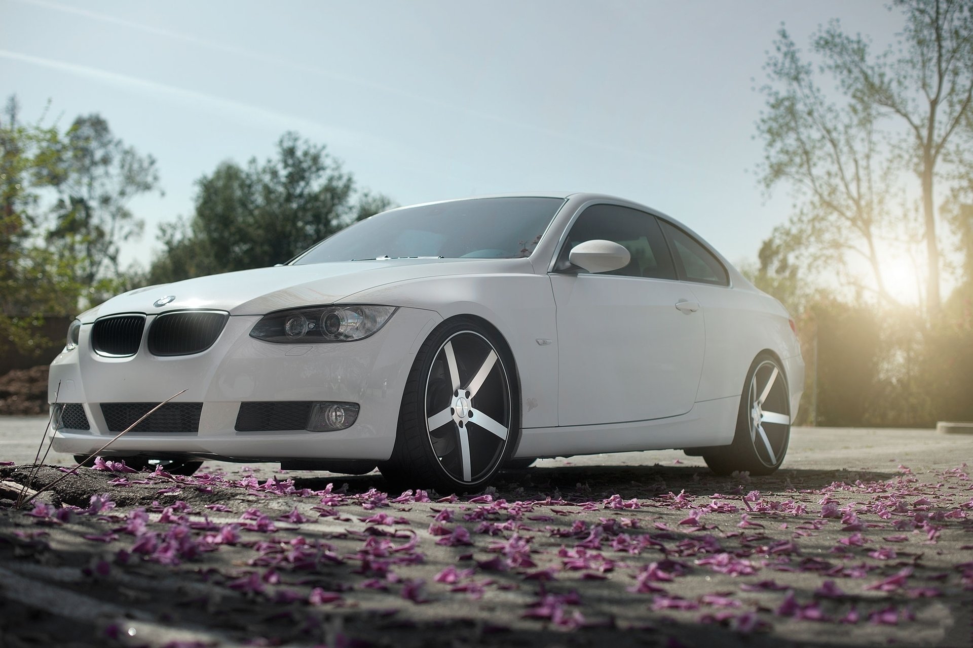 jardin tuning auto bmw voitures jantes