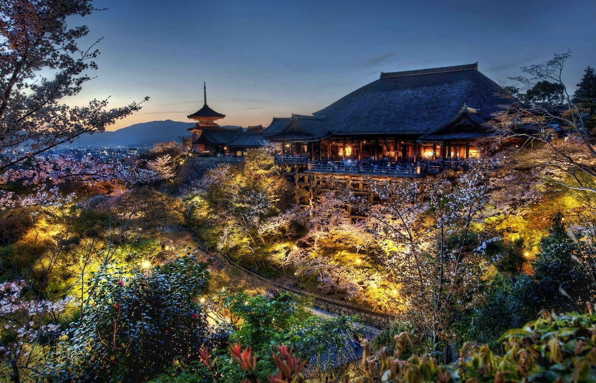 giappone kyoto casa dei samurai serata sakura foresta casa