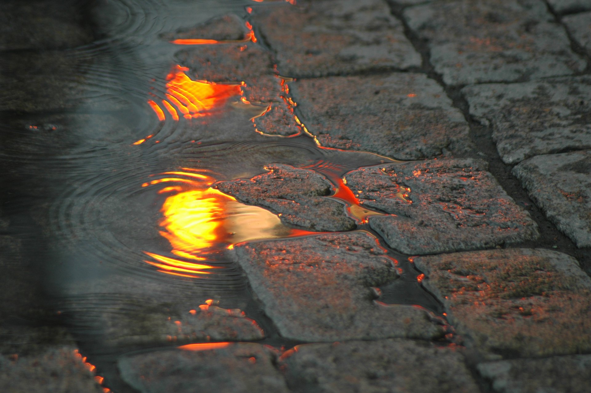 charco agua calle adoquines luces reflexión