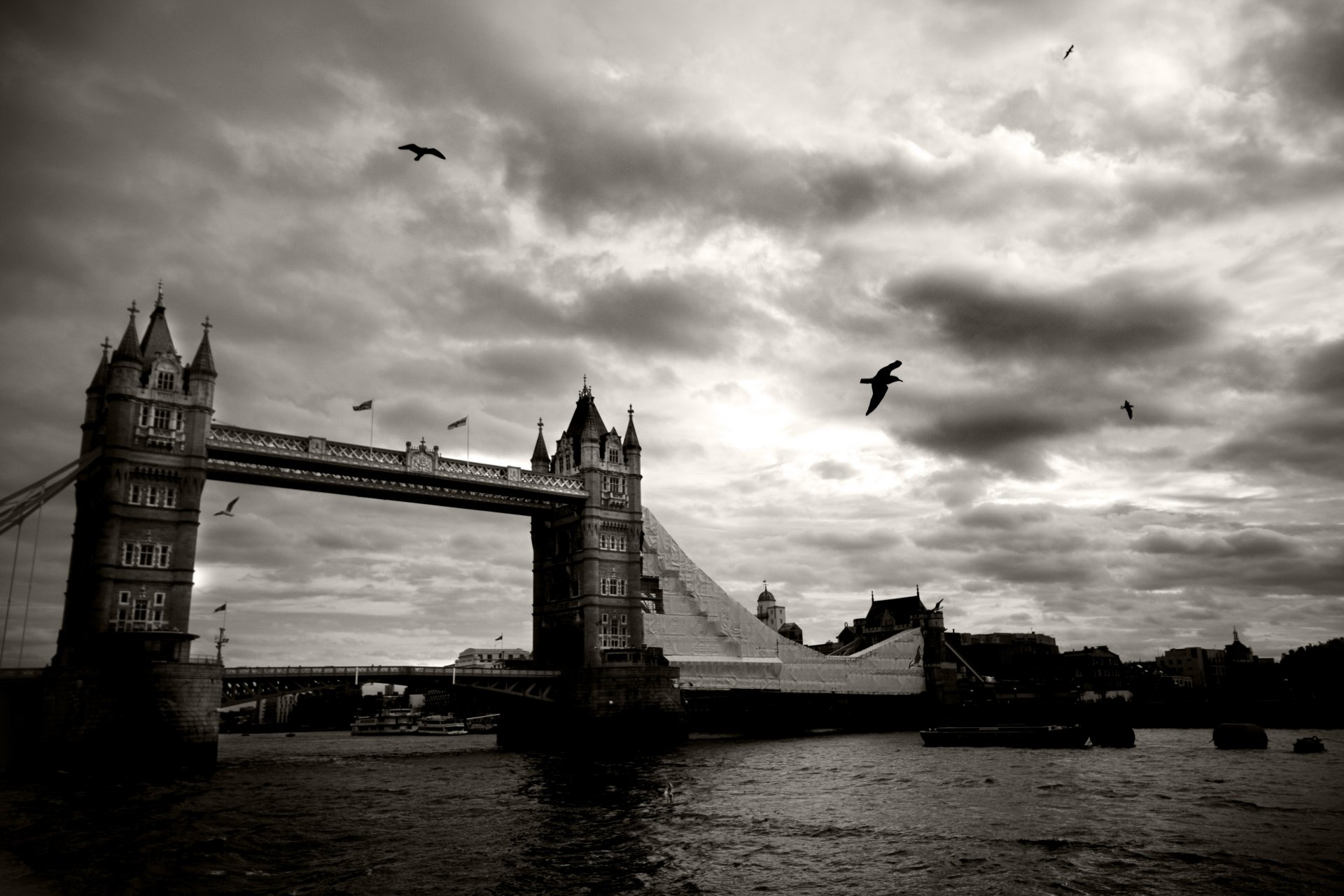 united kingdom london town bridge tower bridge thames river sky clouds birds black and white