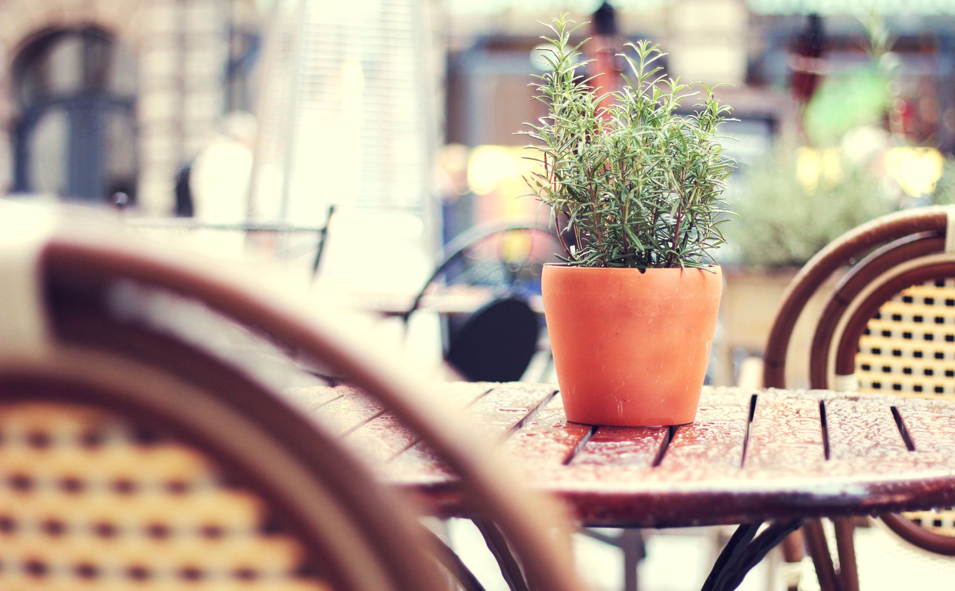 tè giardino di strada della città dopo la pioggia di vimini sedie con shift e tilt outdoor cafe dopo la pioggia tavolo di vimini sedie vaso di fiori