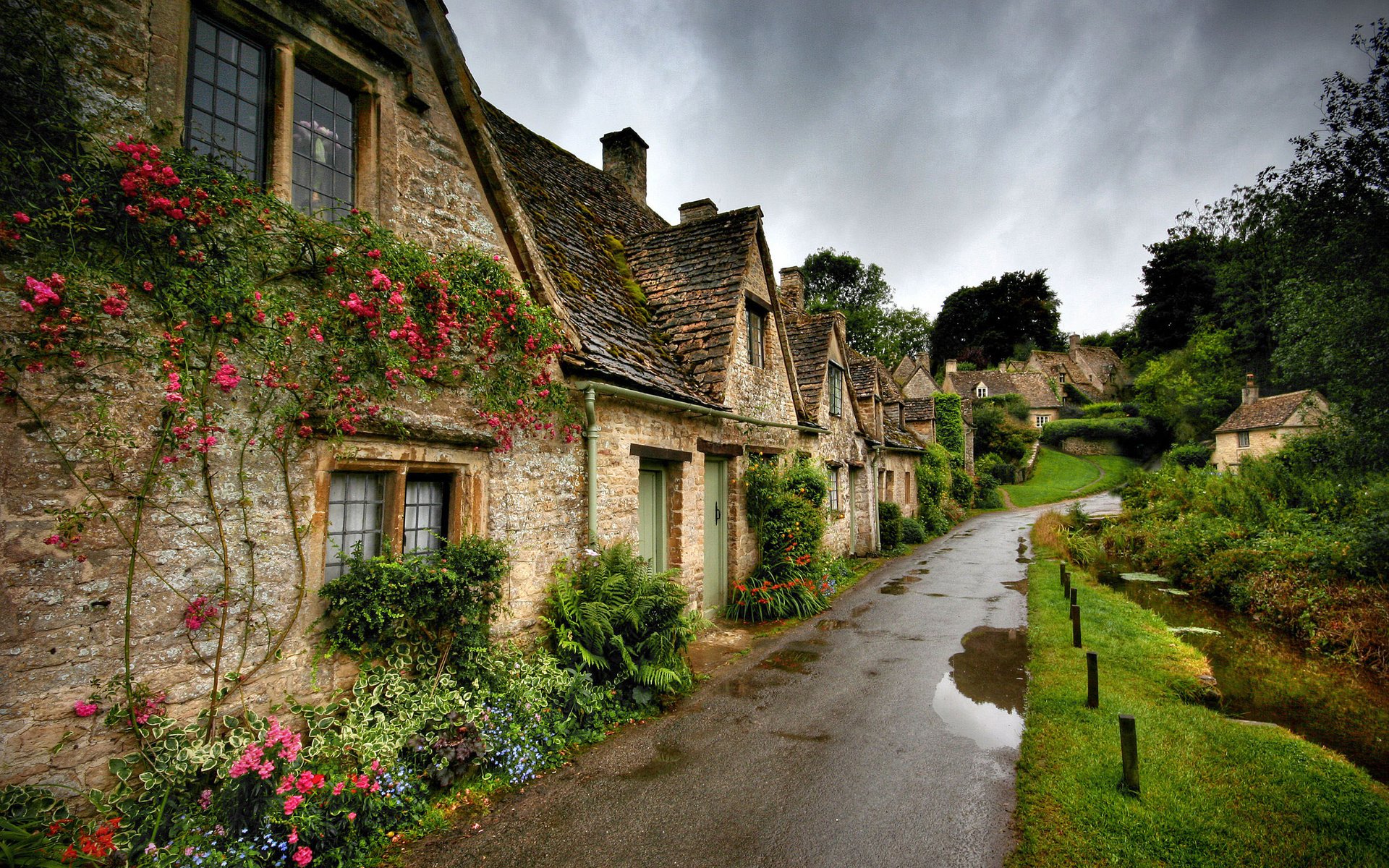 the village house roof street road green flower nature