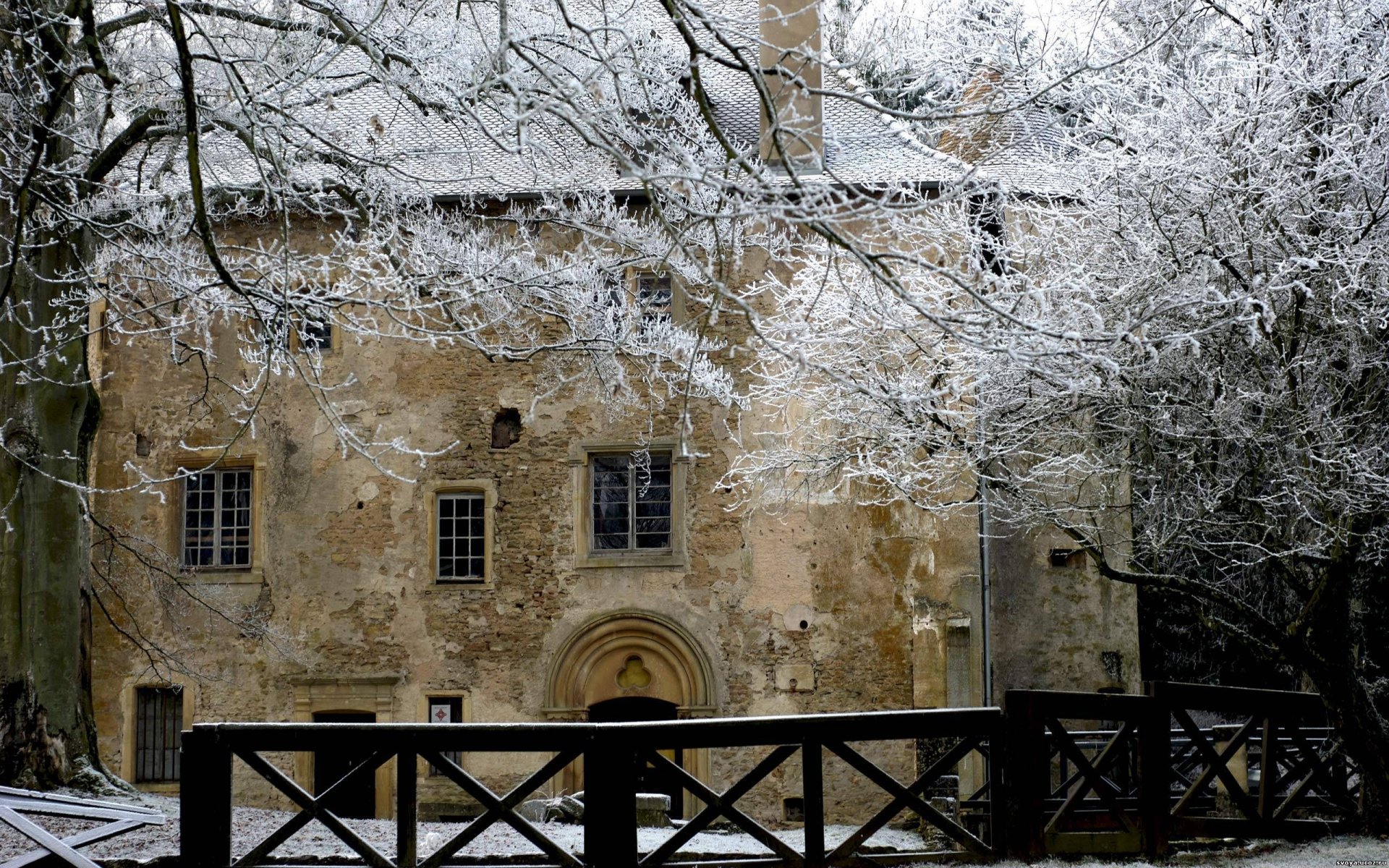 casa invierno árboles nieve ramas cerca