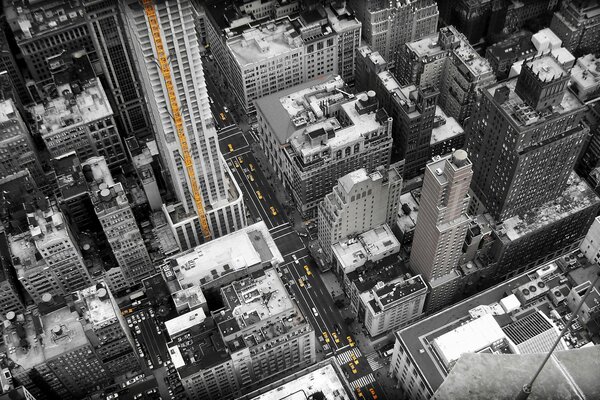 Gli edifici alti di New York City stupiscono per la loro grandezza