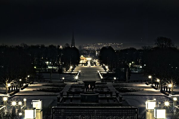 Park in the lights of the night city in high resolution