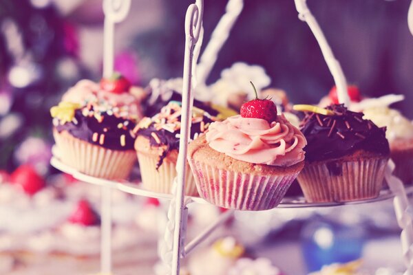 Cupcakes au chocolat et à la vanille sur support