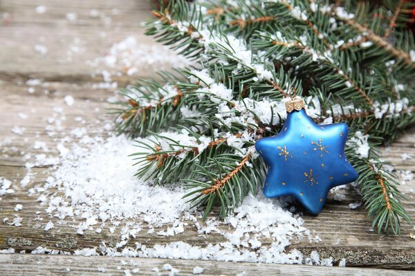 Étoile bleue sur une branche couverte de neige