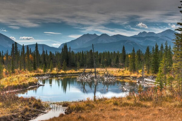 Foreste montane autunnali