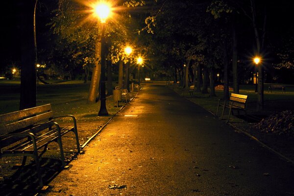 Parco di notte panchina