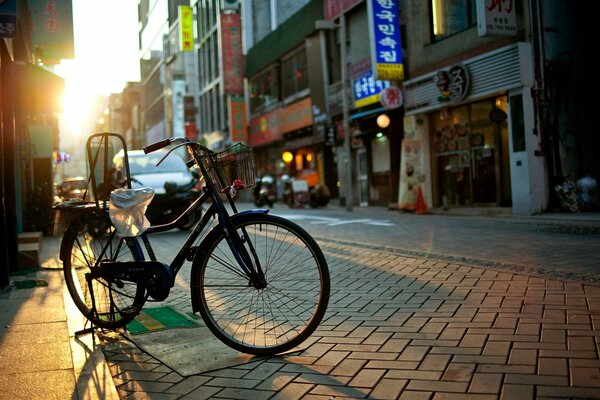 Bike on the sidewalk next to the shop windows