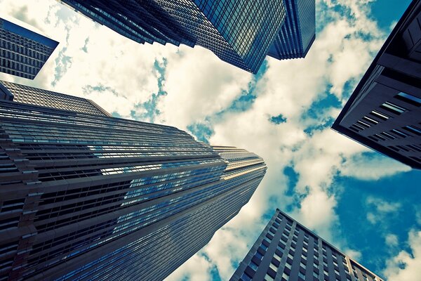 Glass skyscrapers bottom view