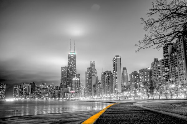 A path in the park, in black and white