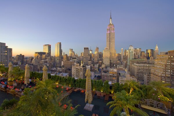 Vue panoramique sur le parc de Manhattan