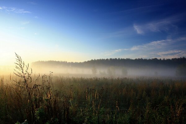 Nebel im Feld vor dem Hintergrund des blauen Himmels