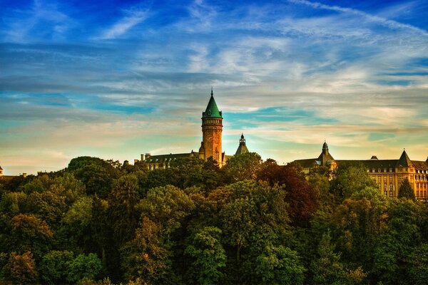 Die abendliche Stadt ist von purpurgrünen Laubbäumen umgeben