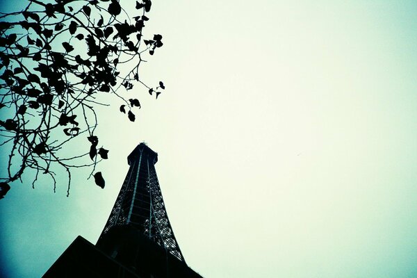 Image of the sky and the tower in Paris
