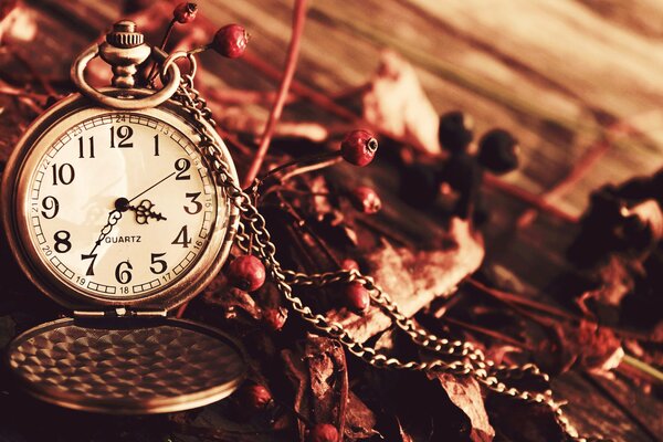 Reloj de bolsillo con cadena de oro en flor seca