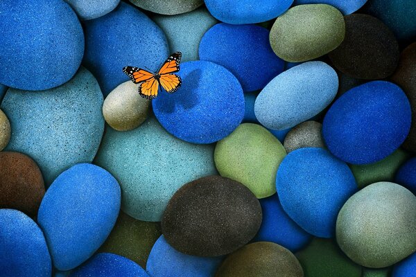 Camées colorées avec ombre papillon
