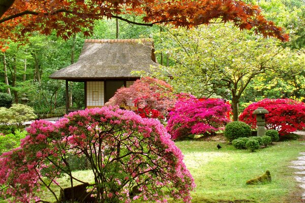 Jardín japonés con cabaña y árboles en flor