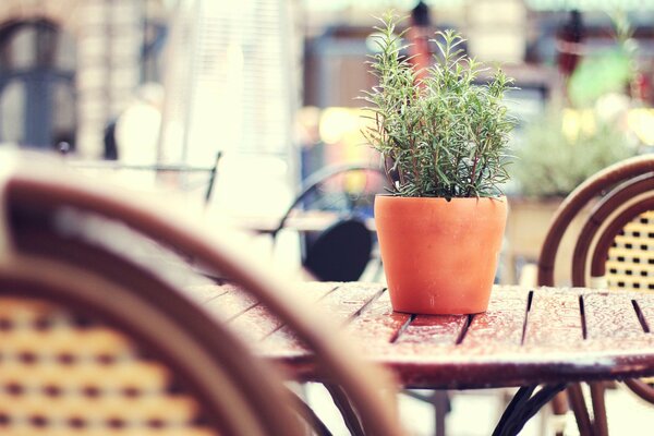 Tisch im Straßencafé nach Regen