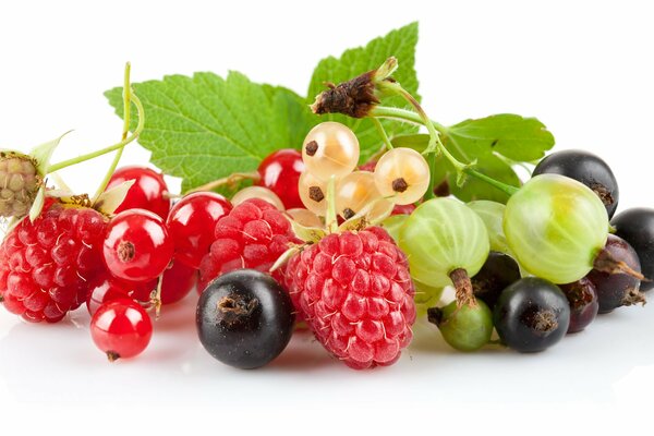 Baies d été, groseilles, groseilles, framboises