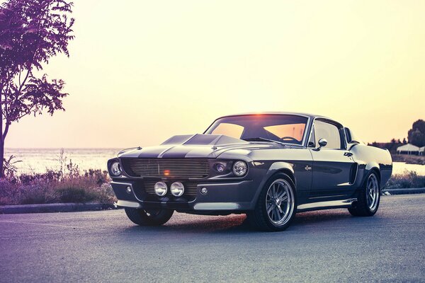 Ford Mustang in seiner ganzen Pracht