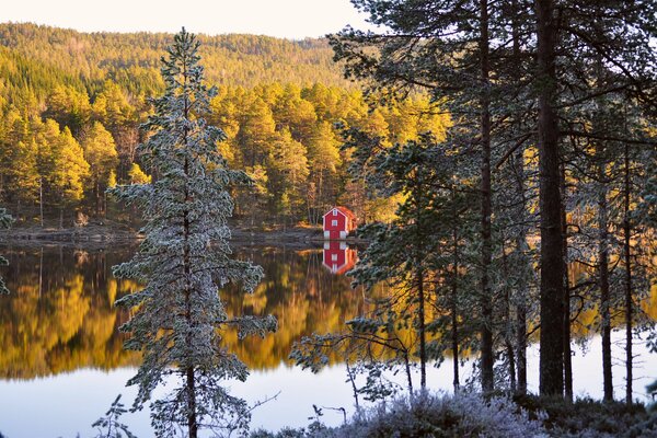 The beauty of autumn Norway