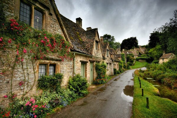 The road between cozy houses