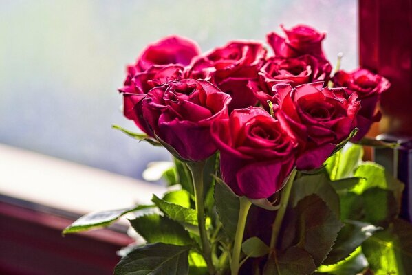 Bouquet de roses écarlates