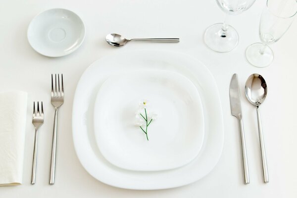 A flower on a white plate on a white table with appliances