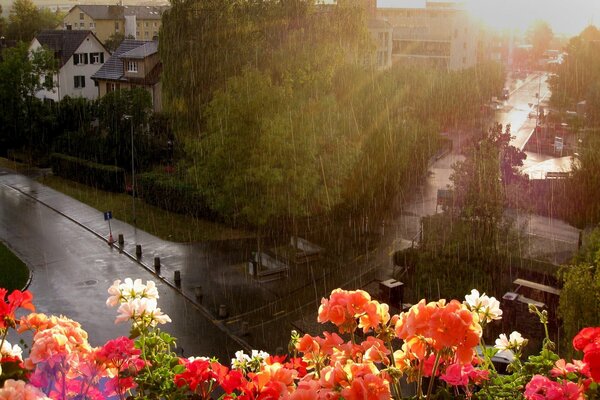 Ciudad de verano bajo las gotas de lluvia