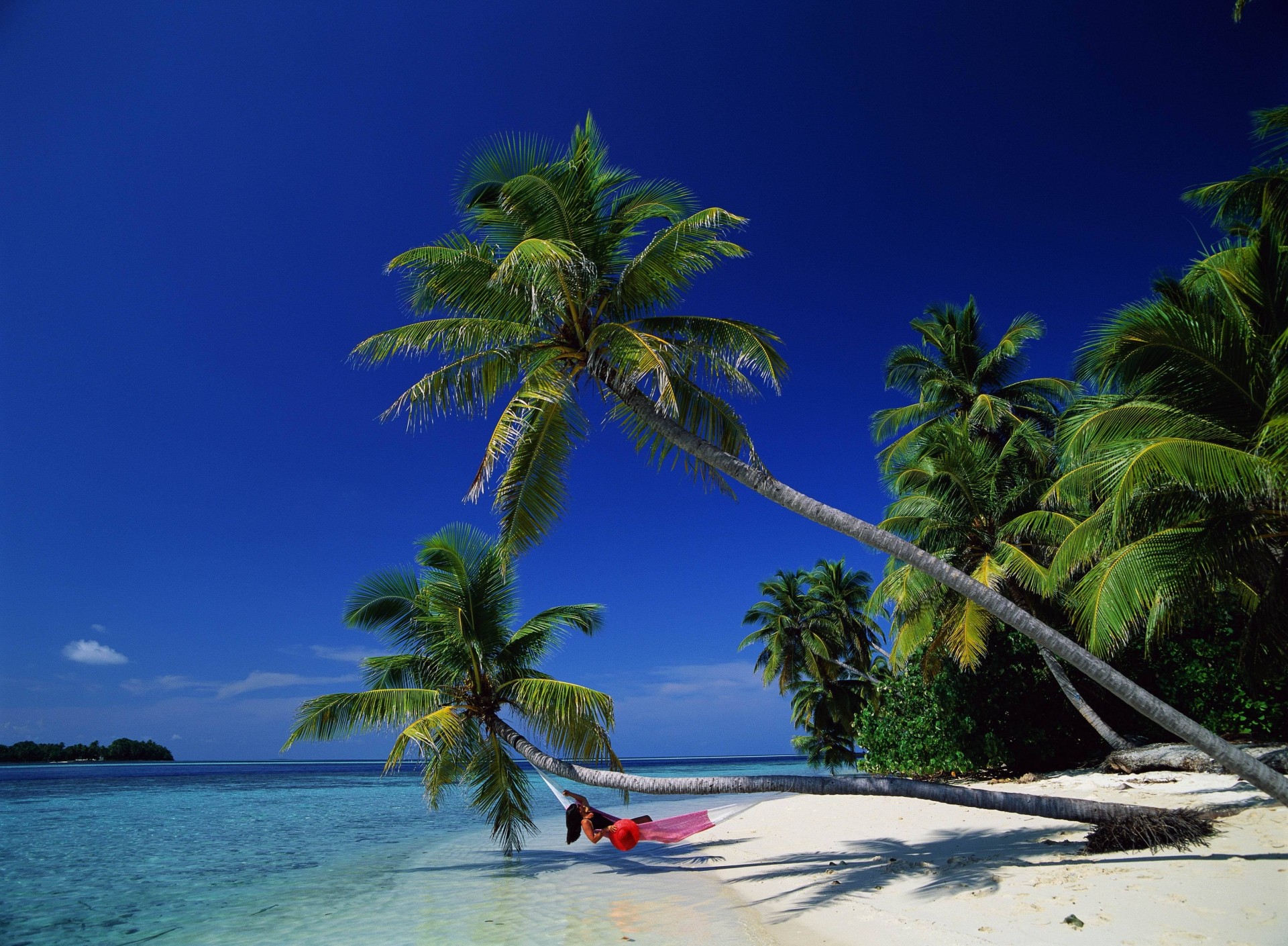 bahía bounty palmeras mar relax hamaca