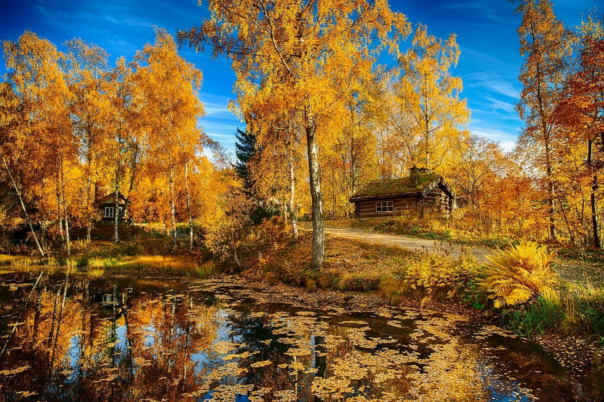 paisaje naturaleza lago árboles camino casa otoño noruega