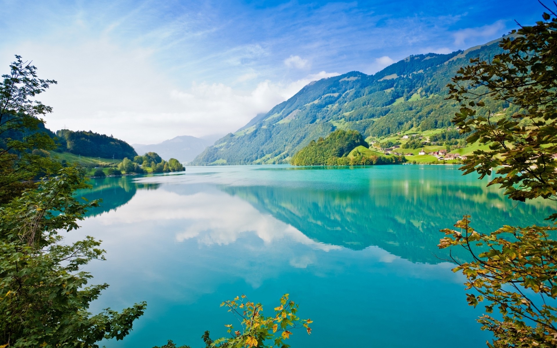 blue reflection lake tree summer light sky bright mountain coast branch