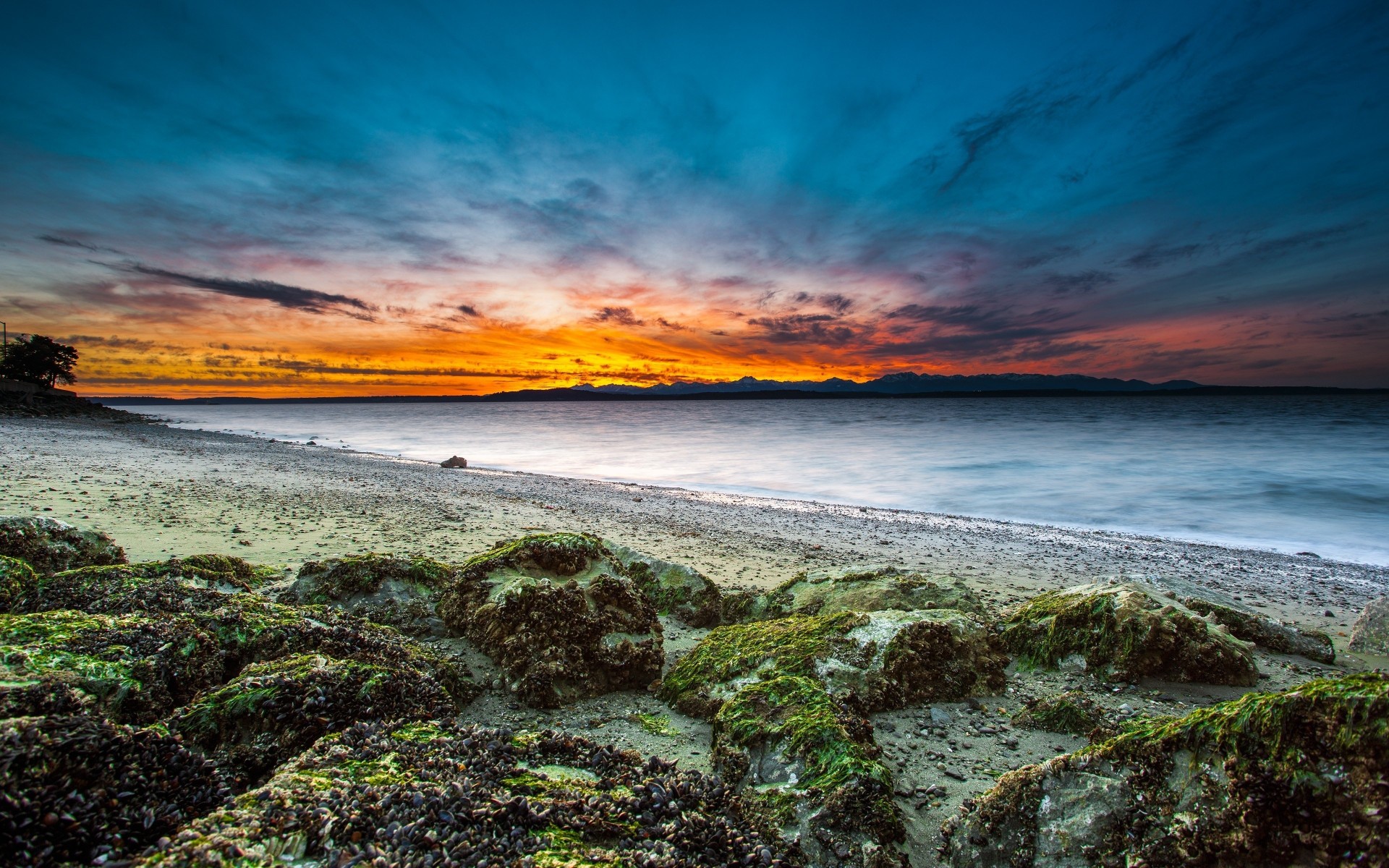 unset landscapes clouds sea usa beach nature coast horizon ocean shore rocks rocks washington seaweed seattle