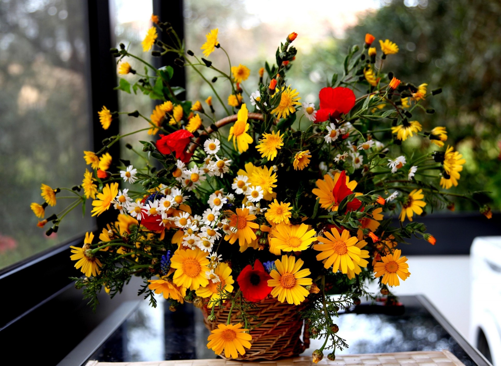 chamomile bouquet poppies shopping flower