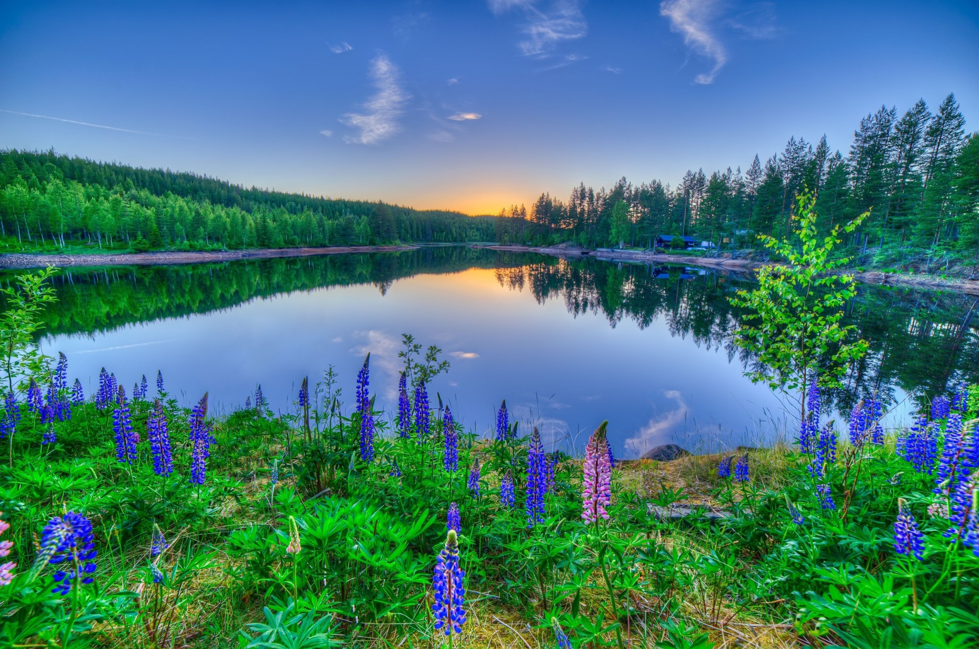 paesaggio tramonto natura lago alberi foresta fiori casa