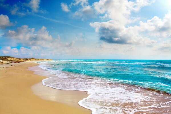 Tropikalna plaża i Błękitny ocean