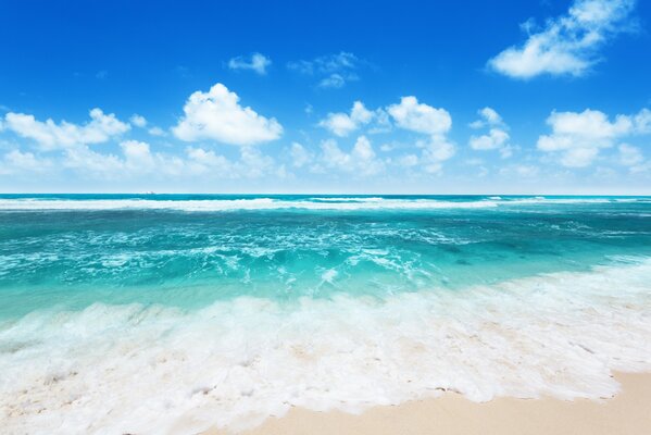 Playa solitaria con una hermosa ola