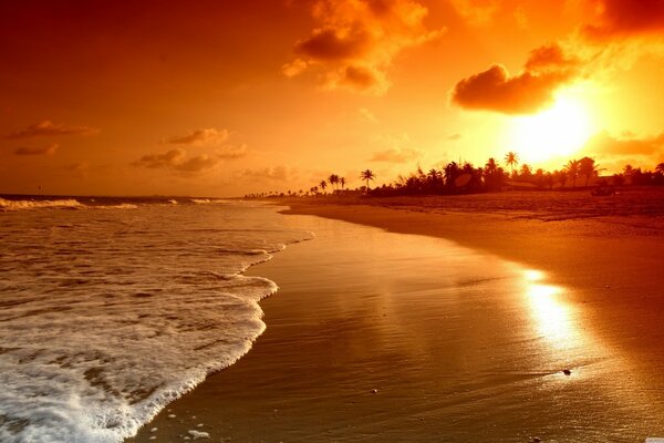 Hermosa puesta de sol en la playa del mar