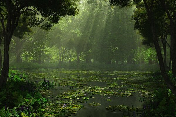 Ein überwachsener See in einem düsteren Wald