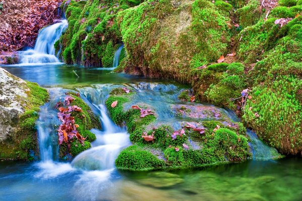 Der Fluss fließt aber zu Steinen und Moos