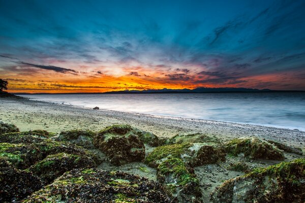 Landscape on the coast on the horizon with algae at the cliff