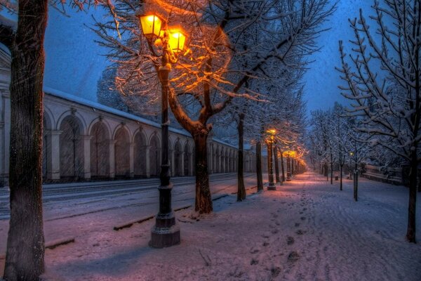 Evening winter park with a path along the lanterns