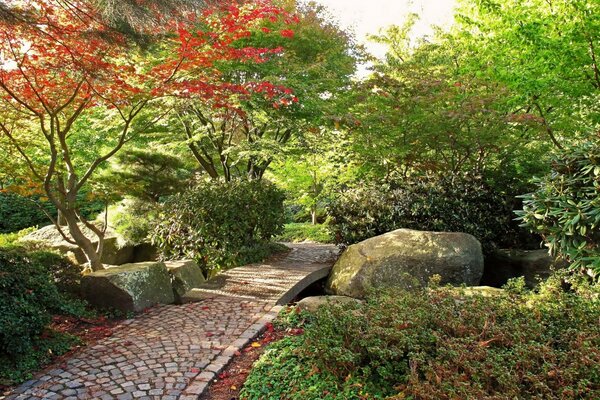 Le jardin d automne joue avec des couleurs