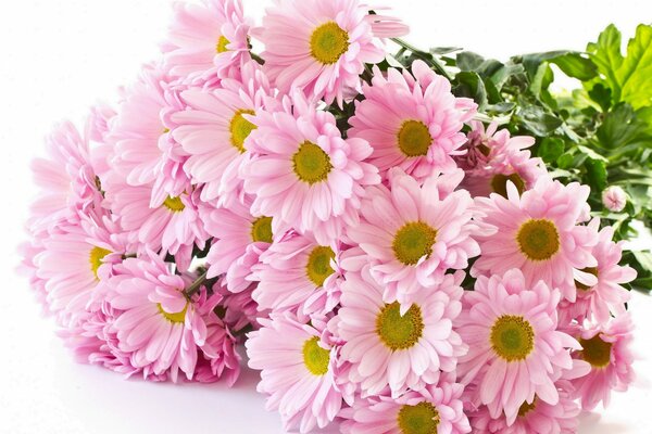 A large bouquet of pink chrysanthemums
